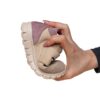 Pantofi copii din piele cu talpa ultra flexibila si talonet Tokyo lila