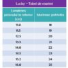 Tabel-de-marimi.jpg Pantofiori copii din piele cu talpa flexibila si talonet Lucky blu